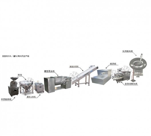 全自動水丸（蜜丸)制丸機生產(chǎn)線